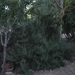 شقة Casa Fondachello Pietraperzia