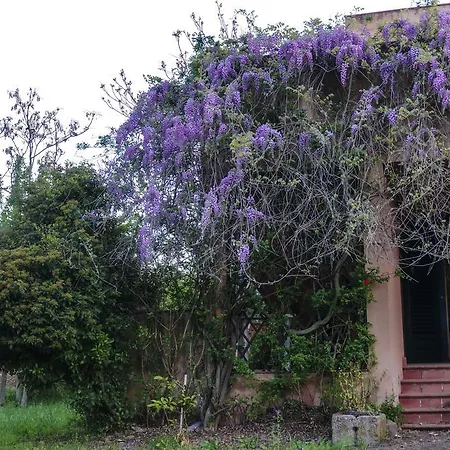 Apartamento Casa Fondachello *