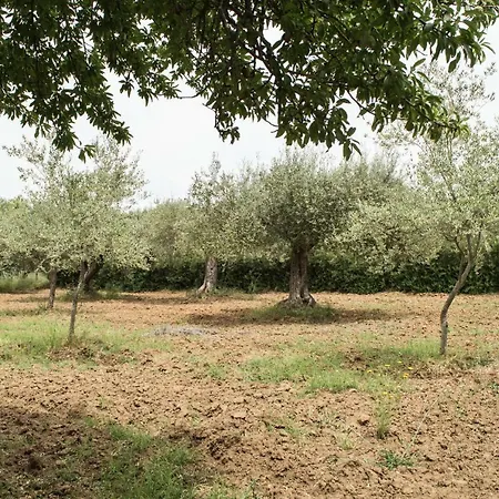 Apartamento Casa Fondachello Pietraperzia